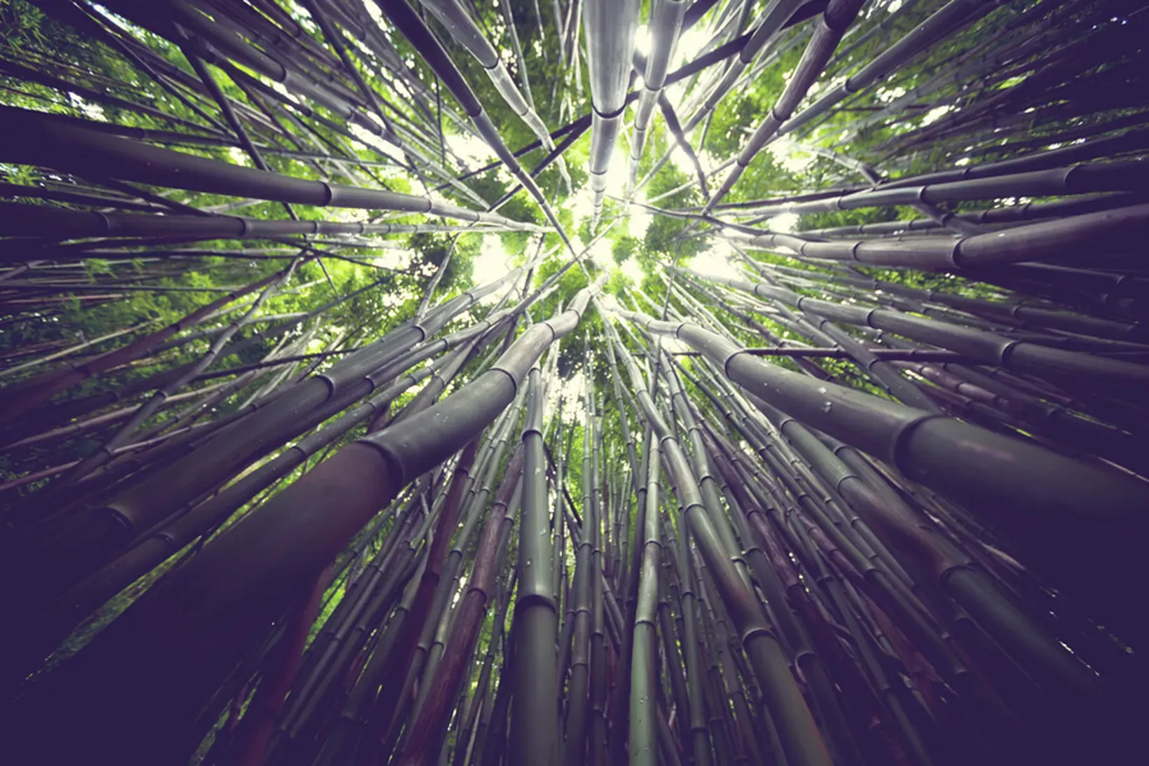 1640x0-2.webp